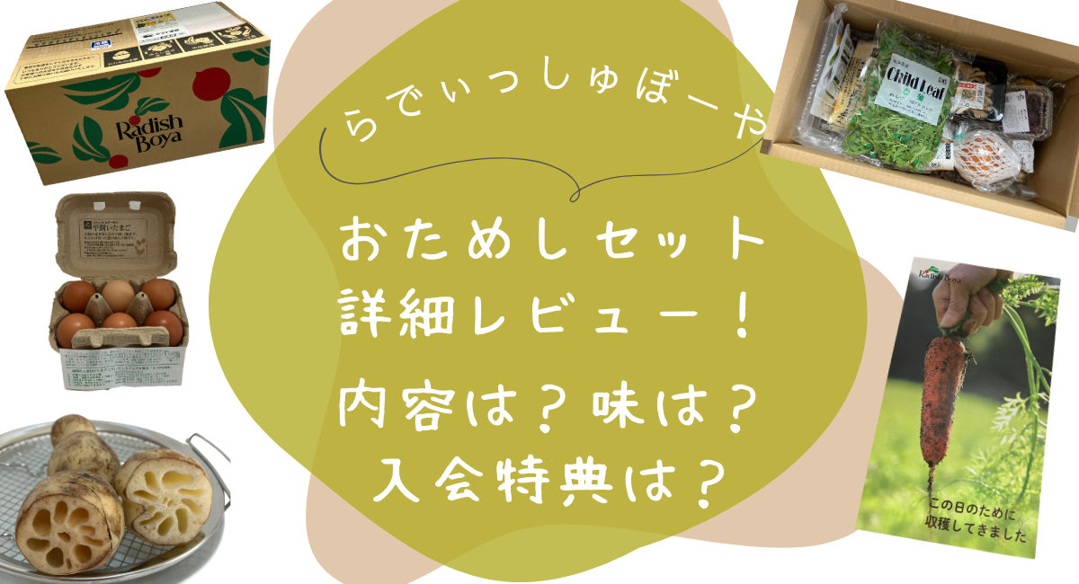 らでぃっしゅぼーや　おためし　レビュー　アイキャッチ
