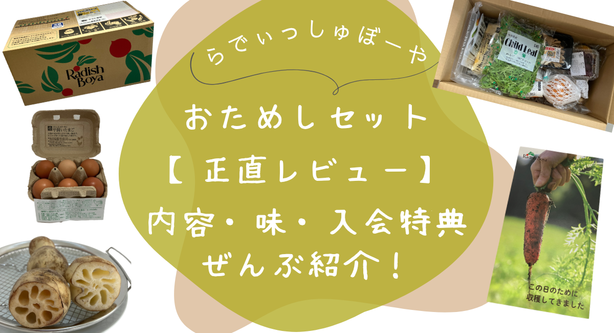 らでぃっしゅぼーや　レビュー　アイキャッチ