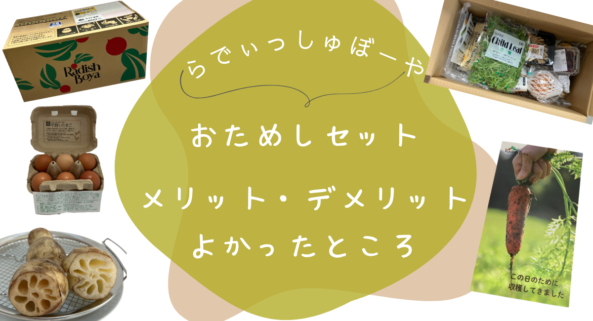 らでぃっしゅぼーや　おためし　メリット　アイキャッチ