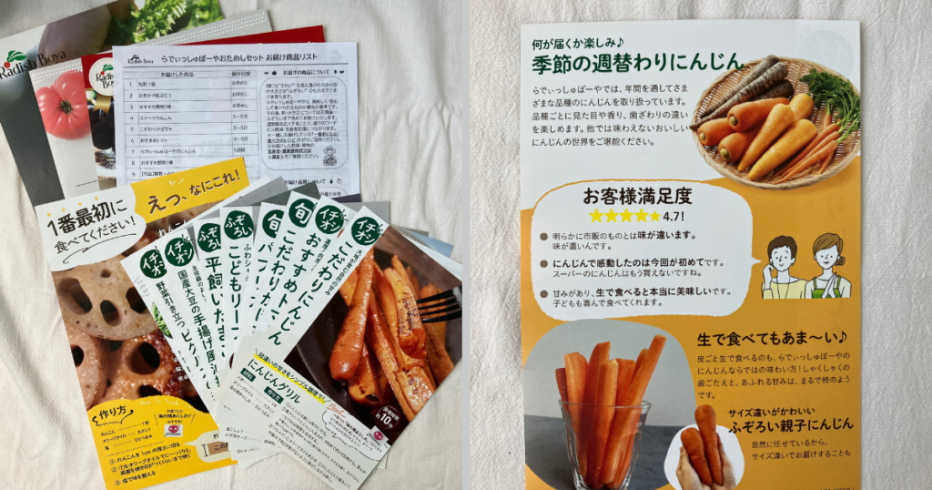 らでぃっしゅぼーや おためし メリット レシピ