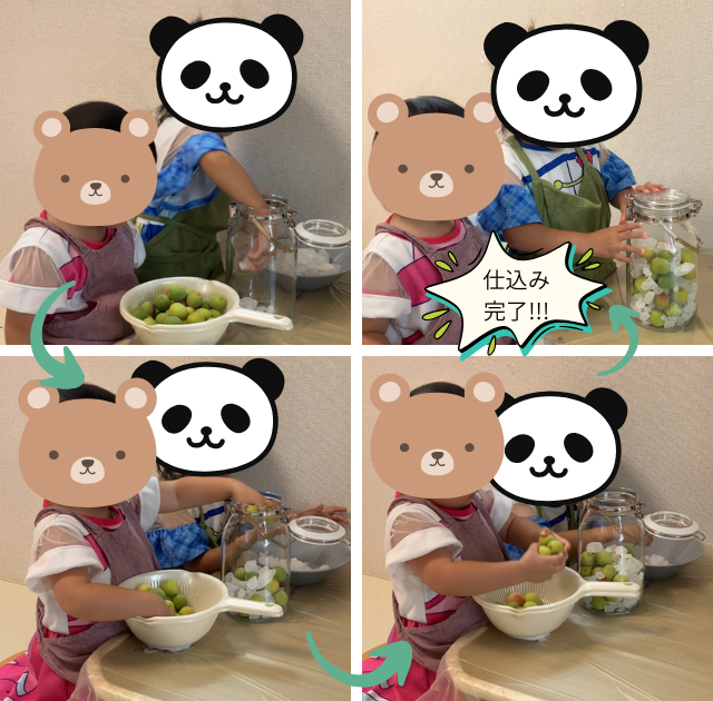 梅キット 仕込み完了