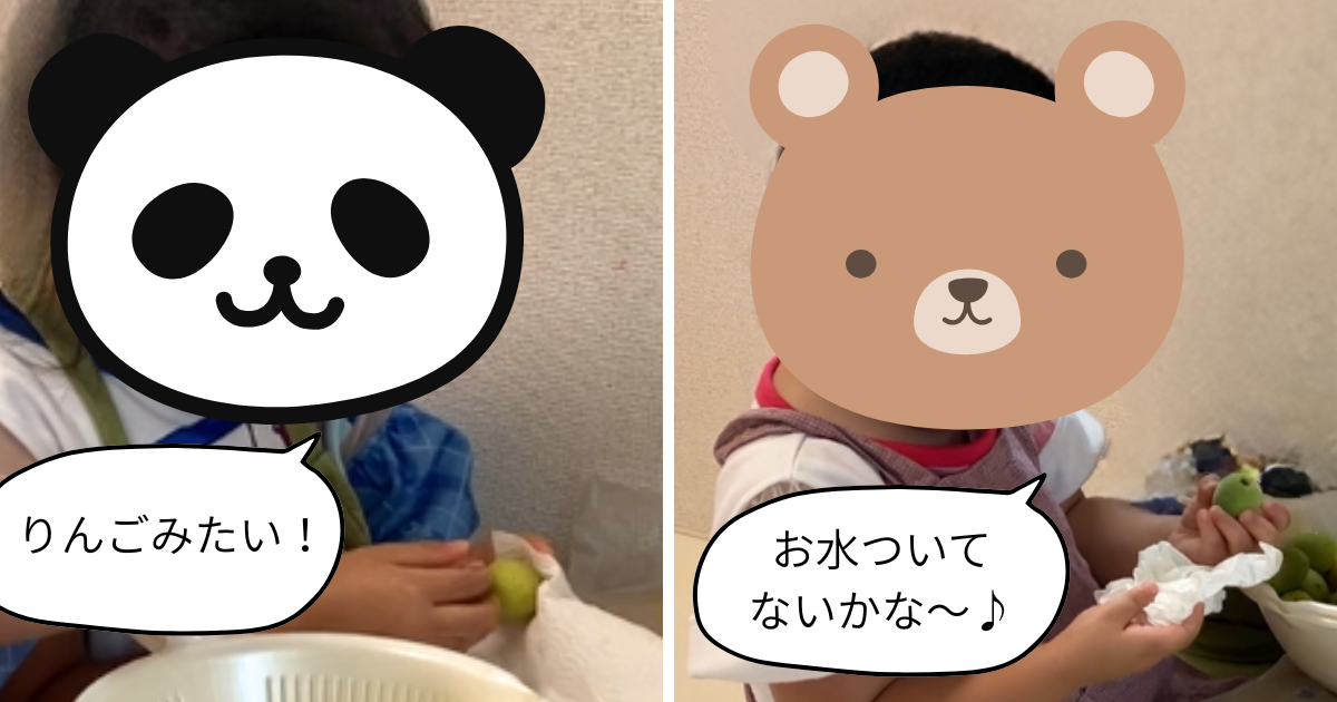 梅キット 梅をふく