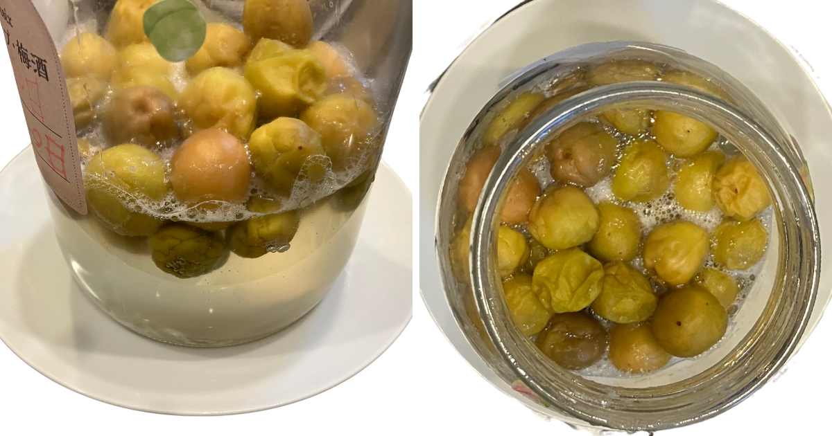 梅キット 泡 発生